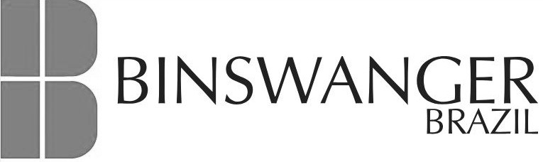 Binswanger Brazil